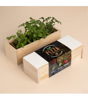 KIT AUTOCOLTIVAZIONI PIZZA